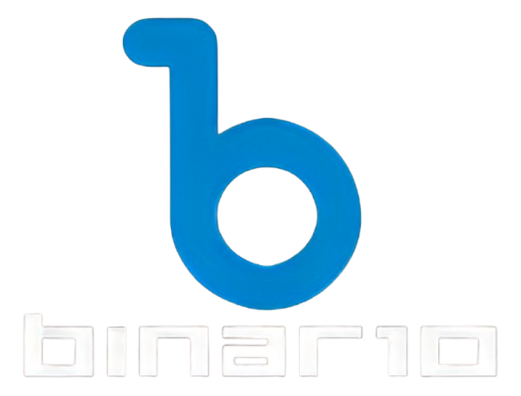 BINAR10